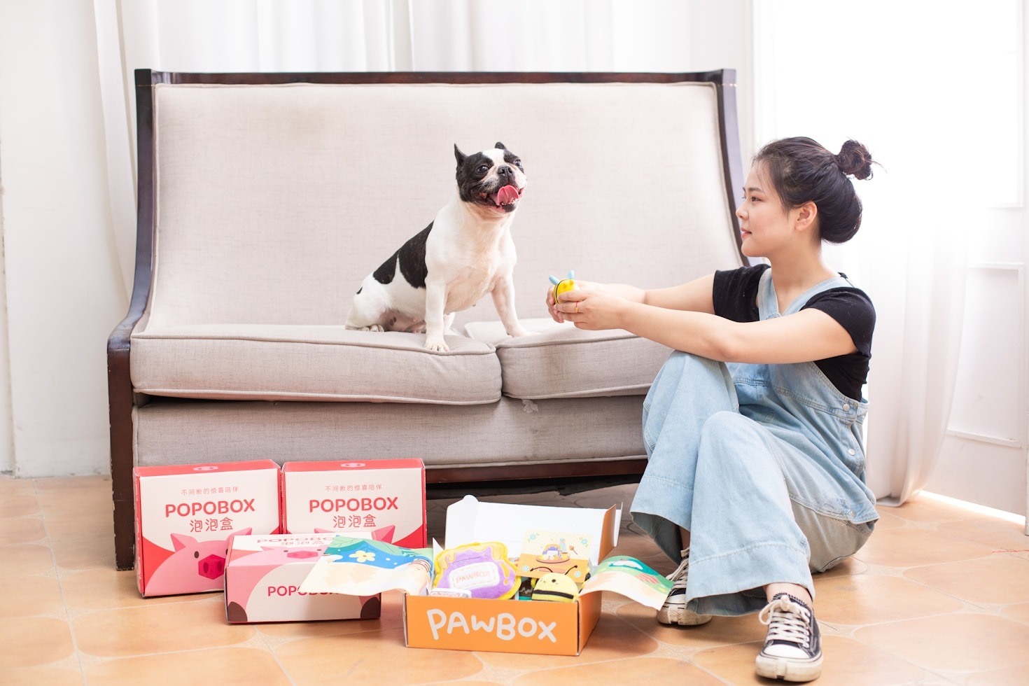 Keeping Your Pet Clean and Comfortable at Home