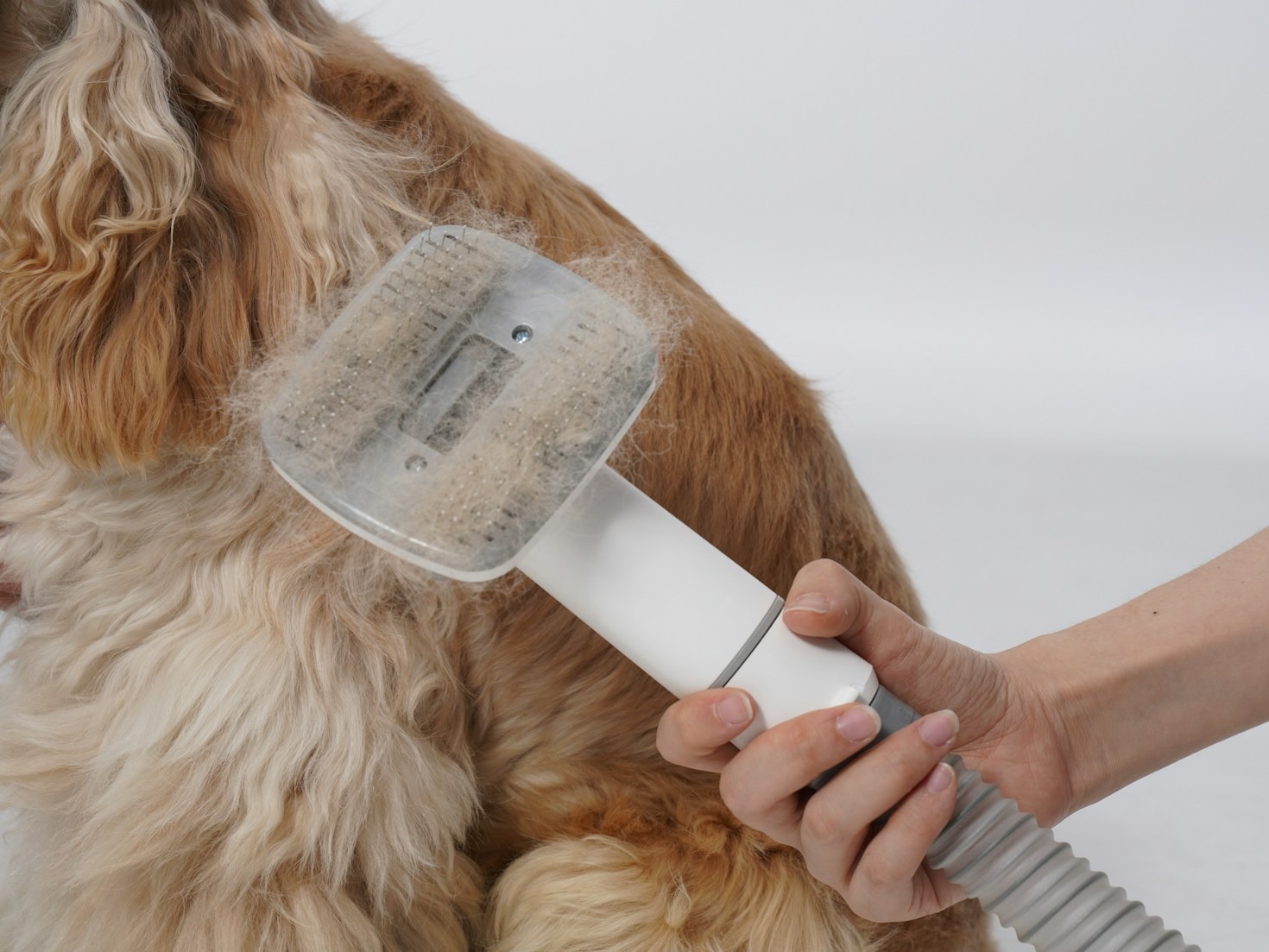 Top Grooming Hacks for Pet Owners
